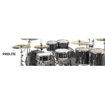 Prolite Series